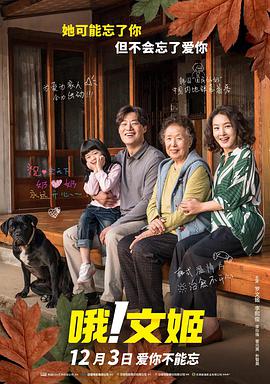 手机免费播放