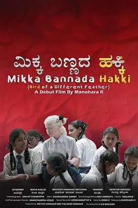 BD国语电影免费在线