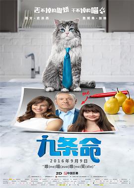 蓝光手机在线看