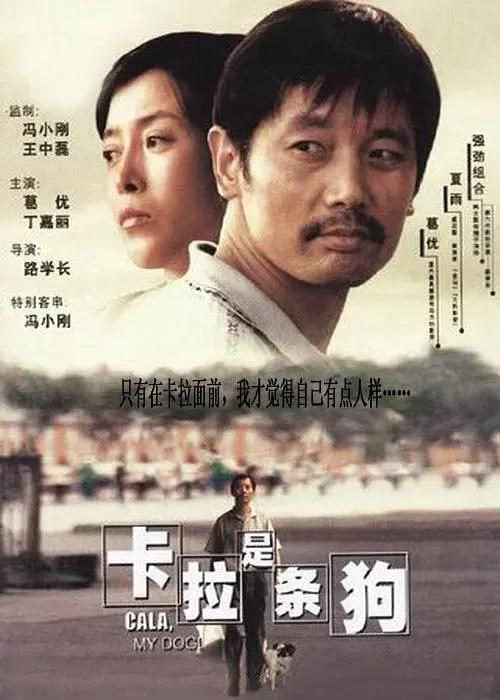 手机免费播放