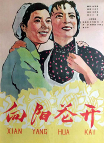 字幕全集免费观看